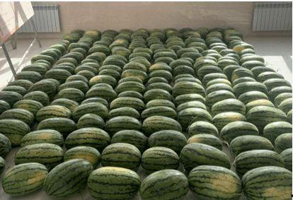 保定最新吃瓜新闻,揭秘本地热点事件背后的真相