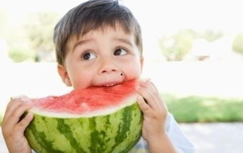 云木吃瓜事件,揭秘网络舆论的狂欢与反思