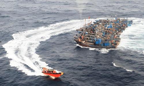 渔船扎堆吃瓜图片,共享夏日瓜果盛宴