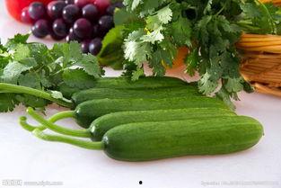 吃瓜群80,一场全民参与的娱乐盛宴