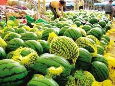 祁山放马兰州吃瓜,一场别开生面的夏日之旅