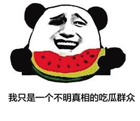 吃瓜常用语,揭秘网络热词背后的趣味与智慧