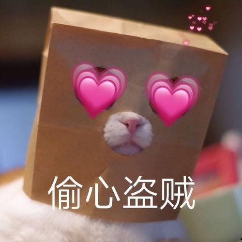 惊喜吃瓜表情,揭秘惊喜吃瓜表情背后的趣味与智慧