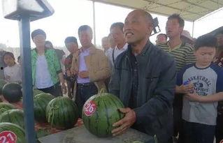 青田吃瓜群众事件,一场网络舆论的风波与反思