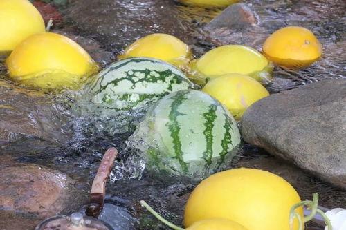 廊坊大城吃瓜视频