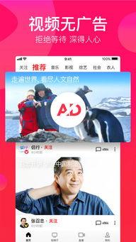 吃瓜游戏搞笑综艺,吃瓜游戏搞笑综艺，带你领略欢乐无限