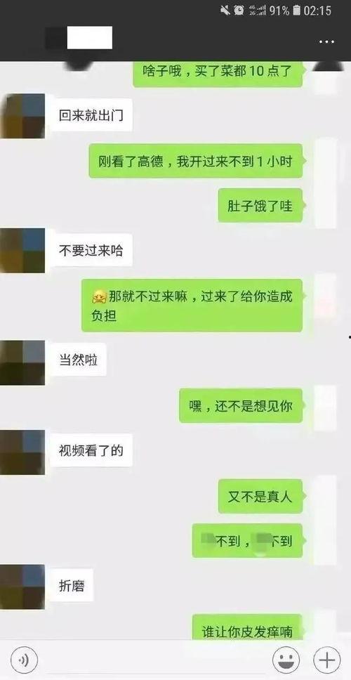 聊天记录吃瓜了,吃瓜群众的狂欢与真相