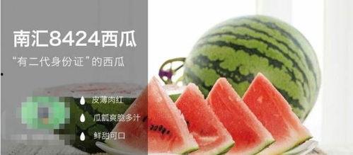 合格的吃瓜方式