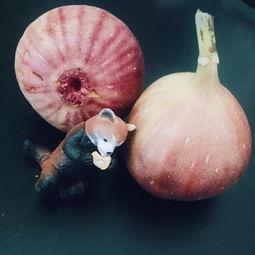 女朋友吃瓜只吃芯,揭秘女友的独特吃瓜情缘