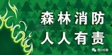 森林防火吃瓜视频,吃瓜视频揭示防火意识缺失