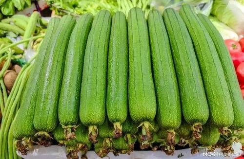 什么瓜在冬天吃最好,揭秘最适合冬季食用的瓜类