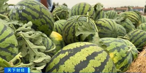 物理上的吃瓜,物理视角下的“吃瓜”现象解析