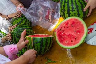 广东深圳吃瓜视频,揭秘城市生活百态