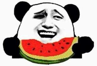 吃瓜群众婷哥,揭秘娱乐圈幕后故事