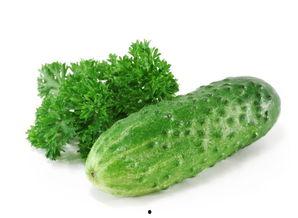 减肥吃瓜叶子,绿色减肥新风尚