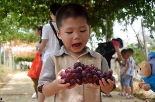 沙河幼师吃瓜群,揭秘幼教圈里的那些事儿