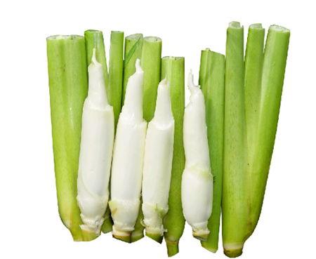 梦见去水里偷茭白瓜吃瓜,水中偷茭白瓜的奇幻之旅