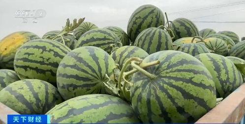 吃瓜吃到自己公司,一场意外的职场风云