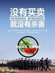 拒绝吃瓜从我做起,构建清朗网络环境的行动指南