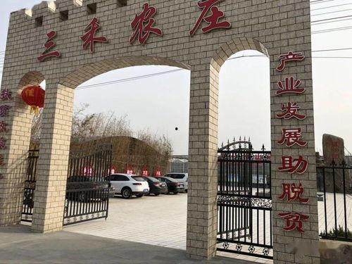 安阳学院吃瓜事件,校园舆论风波背后的真相探究