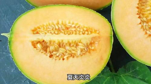 吃冻哈密瓜,哈密瓜冻品新体验