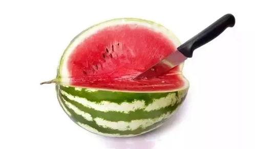 怎么吃瓜显得高级