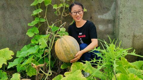 农村吃瓜有什么讲究,传统与风趣的夏日风情