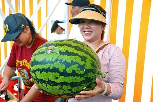 吃瓜罢工快乐产品