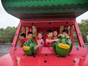 东台吃瓜比赛直播,全民狂欢，瓜界盛宴