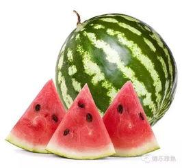 立秋吃瓜了,瓜果飘香，品味丰收喜悦