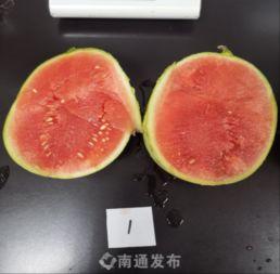 南通学院吃瓜,吃瓜群众揭秘校园热点事件