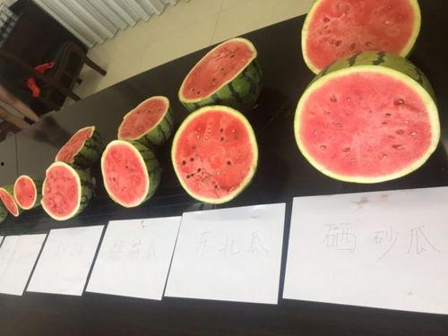 苏州吃瓜的地方