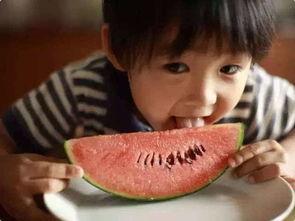 网红笨笨吃瓜,揭秘娱乐圈幕后真相