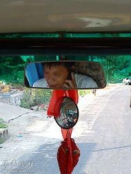 公交司机吃瓜事件