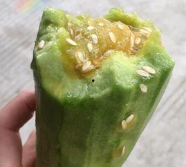 羊角瓜花怎么吃,探索家常烹饪新选择