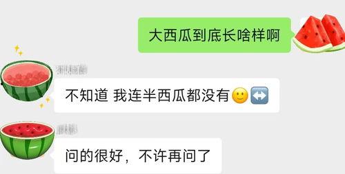全网吃瓜频道,揭秘娱乐圈幕后真相！