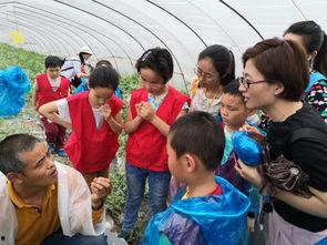 东台吃瓜比赛直播,全民狂欢，瓜王争霸一触即发！