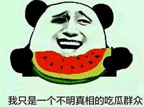 吃瓜群为什么都是sq瓜,为何成为SQ瓜聚集地？