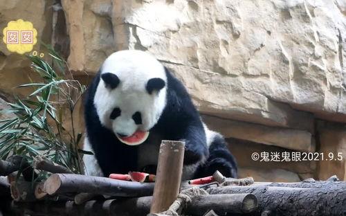 囡囡吃瓜,揭秘娱乐圈那些不为人知的幕后故事