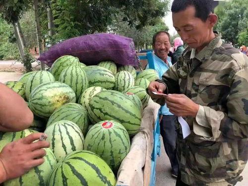 湾湾blase吃瓜,揭秘娱乐圈幕后真相