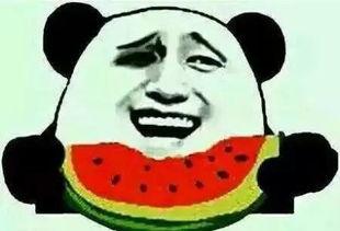 夏天的吃瓜群众,吃瓜群众欢乐多