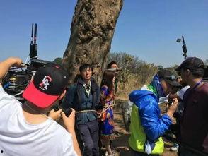 勇敢的吃瓜老王,揭秘娱乐圈背后的故事