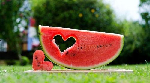 吃瓜客儿,网络热议背后的真相与趣味