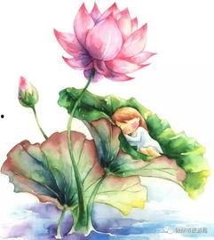 莲花楼绘画吃瓜